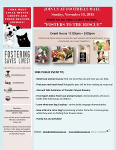 12194659_870651979696622_399437138927647843_o